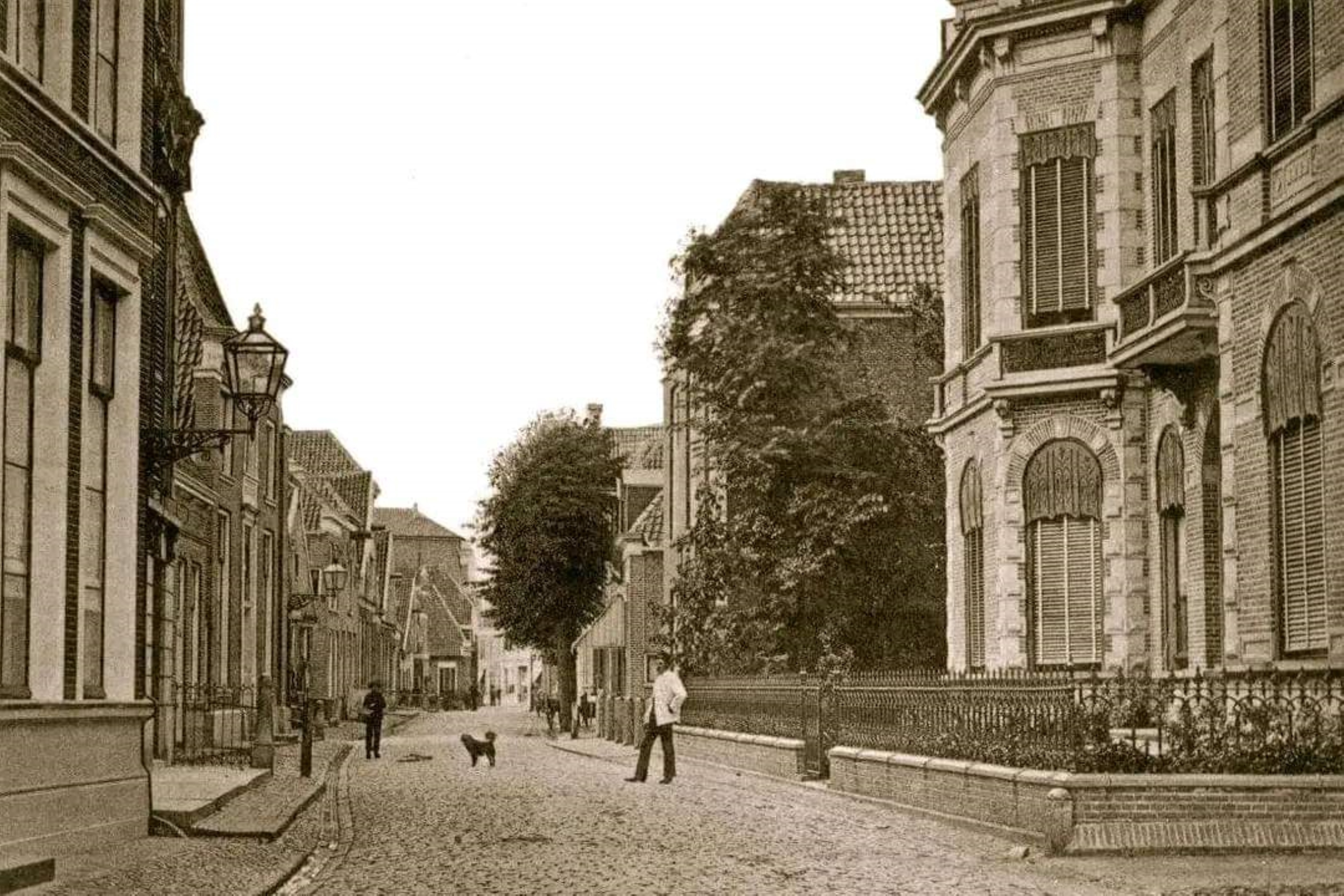 Acaciaplein vanaf de Nachtegaalstraat